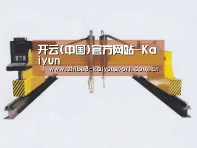 产品名称十八