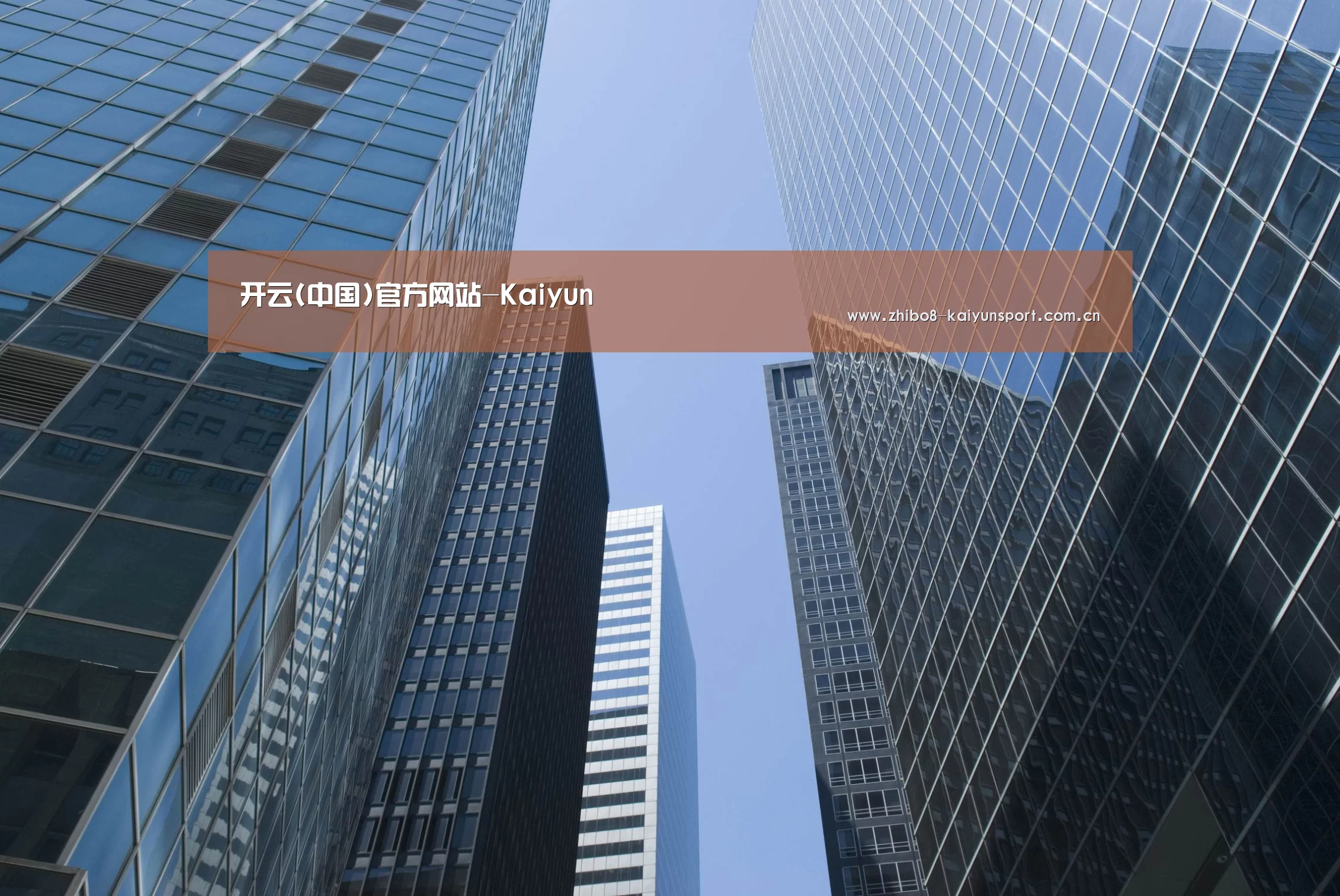 开云官网公司简介 